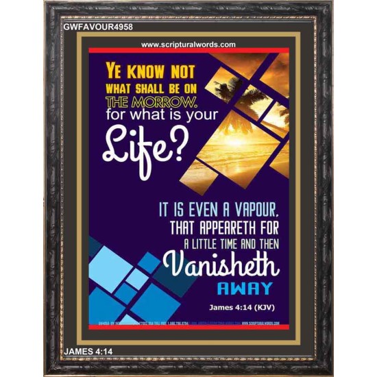 WHAT IS YOUR LIFE   Framed Bible Verses   (GWFAVOUR4958)   