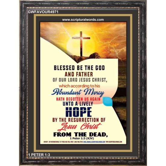ABUNDANT MERCY   Bible Verses Frame for Home   (GWFAVOUR4971)   