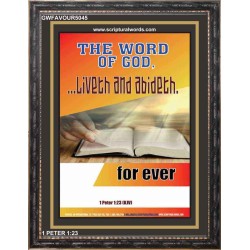 THE WORD OF GOD LIVETH AND ABIDETH   Framed Scripture Art   (GWFAVOUR5045)   