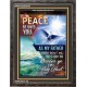 PEACE BE UNTO YOU   Scriptural Wall Art   (GWFAVOUR5191)   