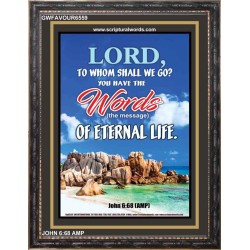 WORDS OF ETERNAL LIFE   Biblical Art Acrylic Glass Frame    (GWFAVOUR6559)   "33x45"