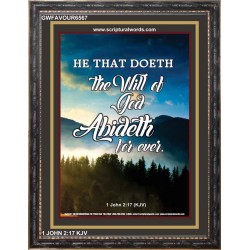 THE WILL OF GOD   Framed Picture   (GWFAVOUR6567)   