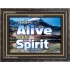ALIVE BY THE SPIRIT   Framed Guest Room Wall Decoration   (GWFAVOUR6736)   "45x33"