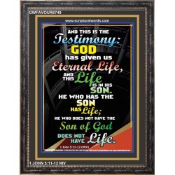 THE TESTIMONY GOD HAS GIVEN US   Christian Framed Wall Art   (GWFAVOUR6749)   