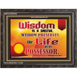 WISDOM   Framed Bible Verse   (GWFAVOUR6782)   "45x33"