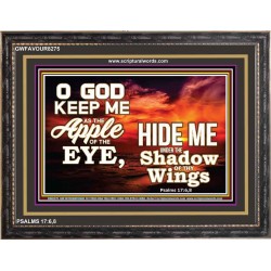 UNDER THE SHADOW OF THY WINGS   Frame Scriptural Wall Art   (GWFAVOUR8275)   "45x33"