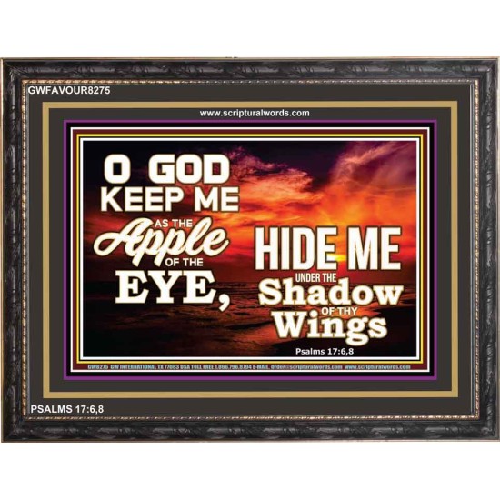 UNDER THE SHADOW OF THY WINGS   Frame Scriptural Wall Art   (GWFAVOUR8275)   