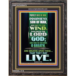 PROPHESY UNTO THE WIND   Bible Verses Frame for Home   (GWFAVOUR8475)   