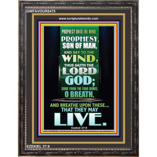 PROPHESY UNTO THE WIND   Bible Verses Frame for Home   (GWFAVOUR8475)   