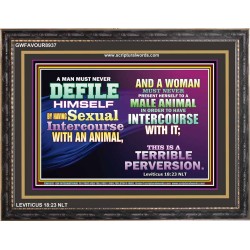 SEXUAL IMMORALITY   Portrait of Faith Wooden Framed   (GWFAVOUR8937)   
