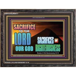SACRIFICES OF RIGHTEOUSNESS   Framed Scriptural Dcor   (GWFAVOUR9417)   