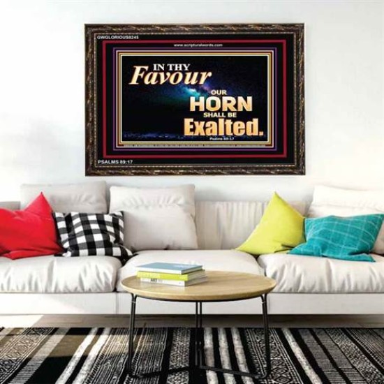 IN THY FAVOUR   Inspirational Bible Verse Framed   (GWGLORIOUS8245)   