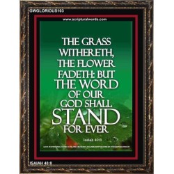 THE WORD OF GOD STAND FOREVER   Framed Scripture Art   (GWGLORIOUS103)   