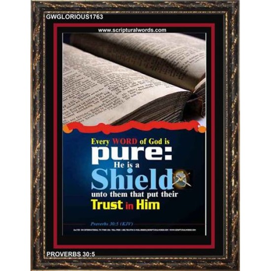 TRUST IN HIM   Scripture Art Frame   (GWGLORIOUS1763)   