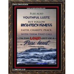 YOUTHFUL LUSTS   Bible Verses to Encourage  frame   (GWGLORIOUS3939)   "33x45"