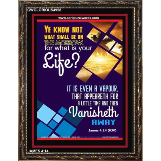 WHAT IS YOUR LIFE   Framed Bible Verses   (GWGLORIOUS4958)   