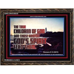 TRUE CHILDREN OF GOD   Christian Quote Framed   (GWGLORIOUS6538)   "45x33"