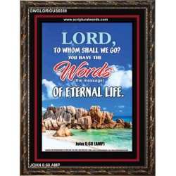 WORDS OF ETERNAL LIFE   Biblical Art Acrylic Glass Frame    (GWGLORIOUS6559)   