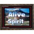 ALIVE BY THE SPIRIT   Framed Guest Room Wall Decoration   (GWGLORIOUS6736)   "45x33"