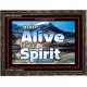 ALIVE BY THE SPIRIT   Framed Guest Room Wall Decoration   (GWGLORIOUS6736)   