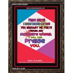YOU BROUGHT ME FROM MY MOTHERS WOMB   Biblical Art Acrylic Glass Frame    (GWGLORIOUS6883)   