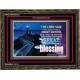 A GREAT NATION   Framed Restroom Wall Decoration   (GWGLORIOUS8233)   