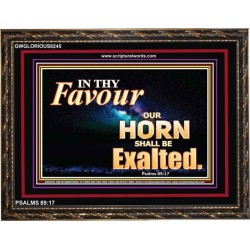 IN THY FAVOUR   Inspirational Bible Verse Framed   (GWGLORIOUS8245)   "45x33"