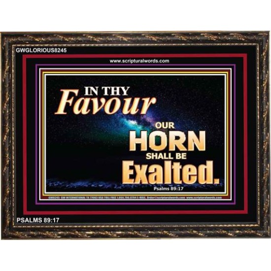 IN THY FAVOUR   Inspirational Bible Verse Framed   (GWGLORIOUS8245)   
