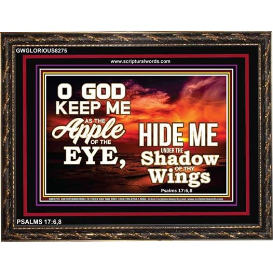 UNDER THE SHADOW OF THY WINGS   Frame Scriptural Wall Art   (GWGLORIOUS8275)   