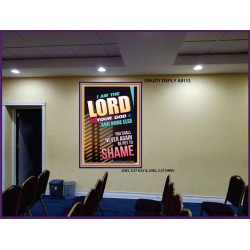 YOU SHALL NOT BE PUT TO SHAME   Bible Verse Frame for Home   (GWJOY9113)   "37x49"