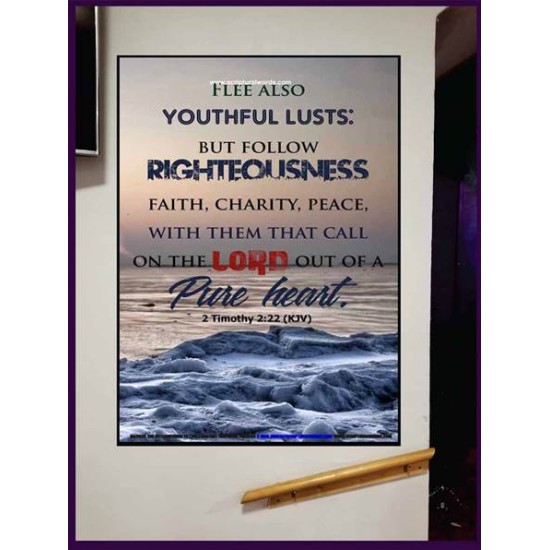 YOUTHFUL LUSTS   Bible Verses to Encourage  frame   (GWJOY3939)   