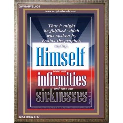 TOOK OUR INFIRMITIES AND BARE OUR SICKNESSES.    Custom Framed Bible Verses   (GWMARVEL005)   