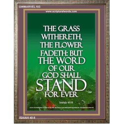THE WORD OF GOD STAND FOREVER   Framed Scripture Art   (GWMARVEL103)   