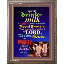 THE MIGHTY ONE OF JACOB   Large Framed Scripture Wall Art   (GWMARVEL1683)   