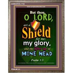 A SHIELD FOR ME   Bible Verses For the Kids Frame    (GWMARVEL1752)   "36x31"