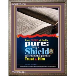 TRUST IN HIM   Scripture Art Frame   (GWMARVEL1763)   "36x31"