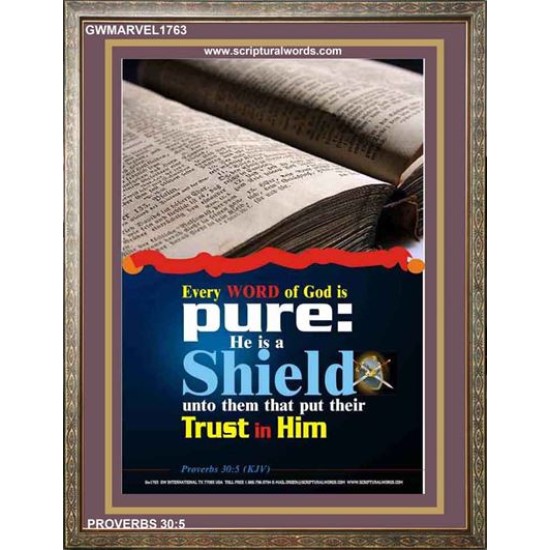 TRUST IN HIM   Scripture Art Frame   (GWMARVEL1763)   