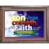 SHALL HE FIND FAITH ON THE EARTH   Large Framed Scripture Wall Art   (GWMARVEL3754)   "36x31"