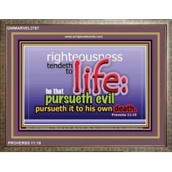 RIGHTEOUSNESS TENDETH TO LIFE   Bible Verses Framed for Home Online   (GWMARVEL3767)   
