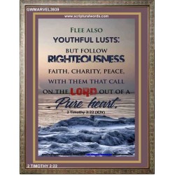 YOUTHFUL LUSTS   Bible Verses to Encourage  frame   (GWMARVEL3939)   "36x31"