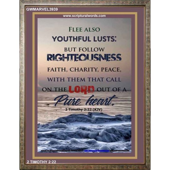 YOUTHFUL LUSTS   Bible Verses to Encourage  frame   (GWMARVEL3939)   