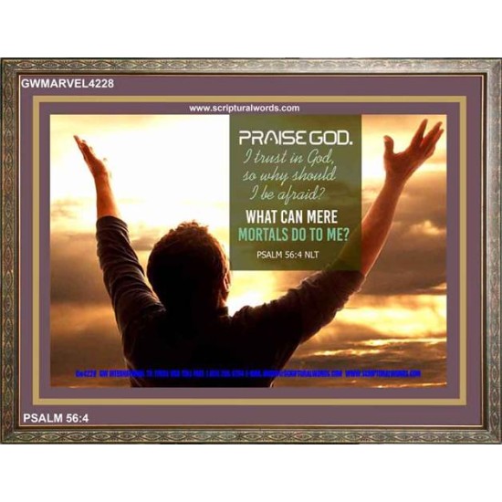 TRUST IN GOD   Framed Bible Verse   (GWMARVEL4228)   