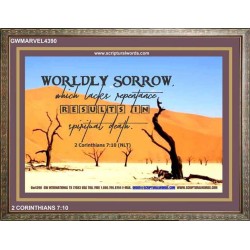 WORDLY SORROW   Custom Frame Scriptural ArtWork   (GWMARVEL4390)   "36x31"
