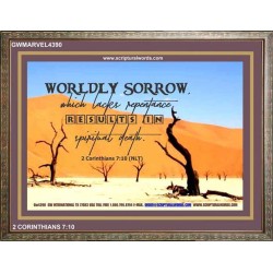 WORDLY SORROW   Custom Frame Scriptural ArtWork   (GWMARVEL4390)   