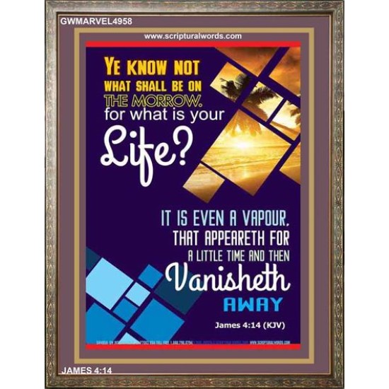 WHAT IS YOUR LIFE   Framed Bible Verses   (GWMARVEL4958)   