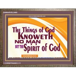 SPIRIT OF GOD   Framed Picture   (GWMARVEL5465)   