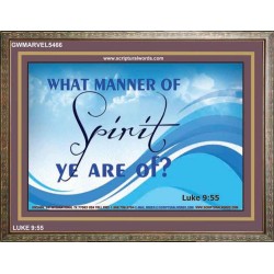 SPIRIT   Acrylic Frame Picture   (GWMARVEL5466)   