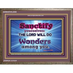 SANCTIFY   Frame Scriptural Wall Art   (GWMARVEL6508)   