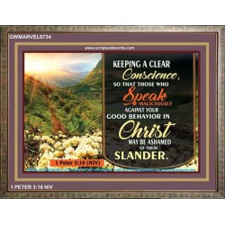A CLEAR CONSCIENCE   Scripture Frame Signs   (GWMARVEL6734)   "36x31"