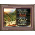 A CLEAR CONSCIENCE   Scripture Frame Signs   (GWMARVEL6734)   "36x31"